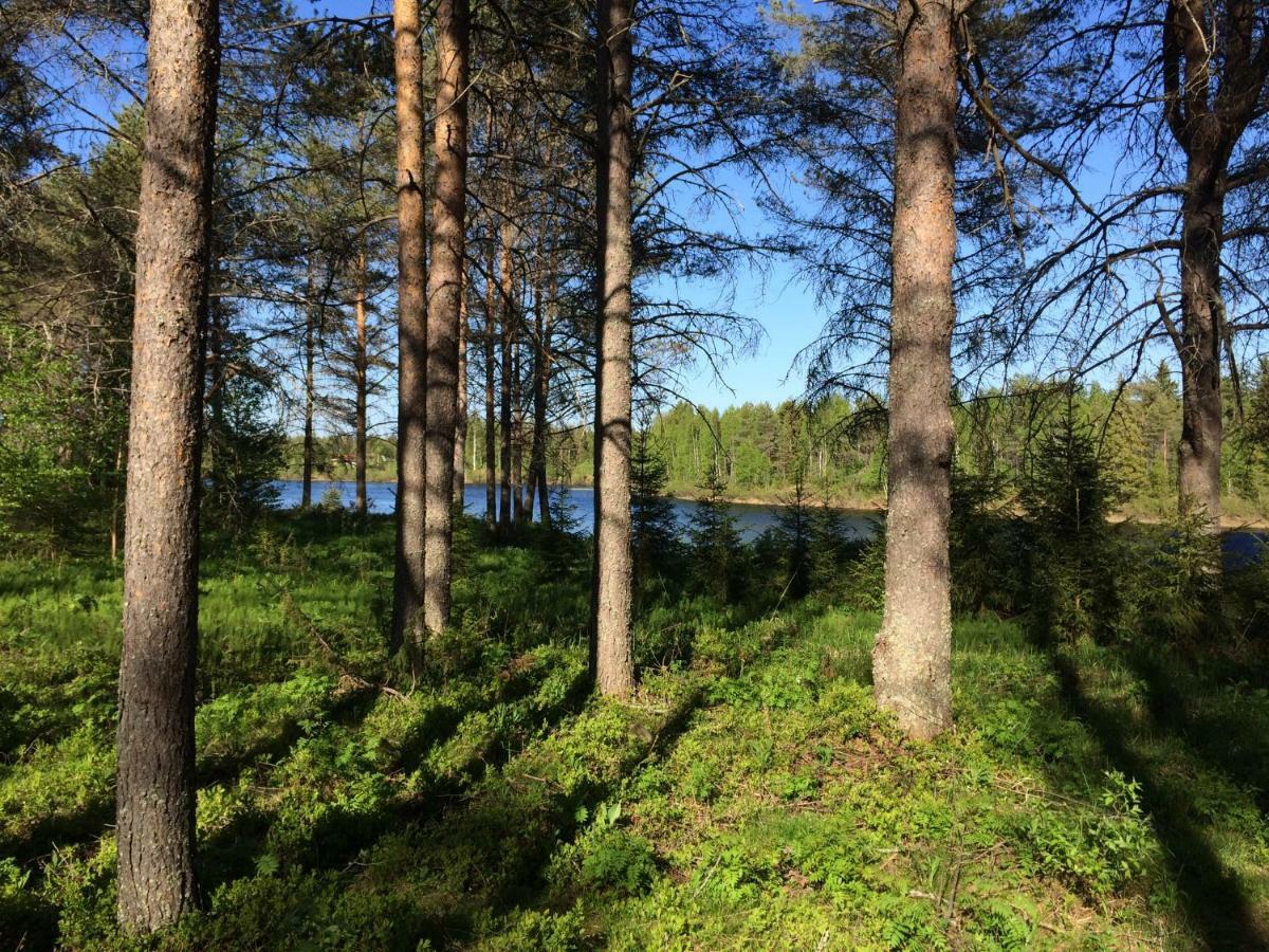 Simojoki Apartments Alaniemi Zewnętrze zdjęcie